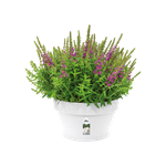 loft urban schaal 35cm wit